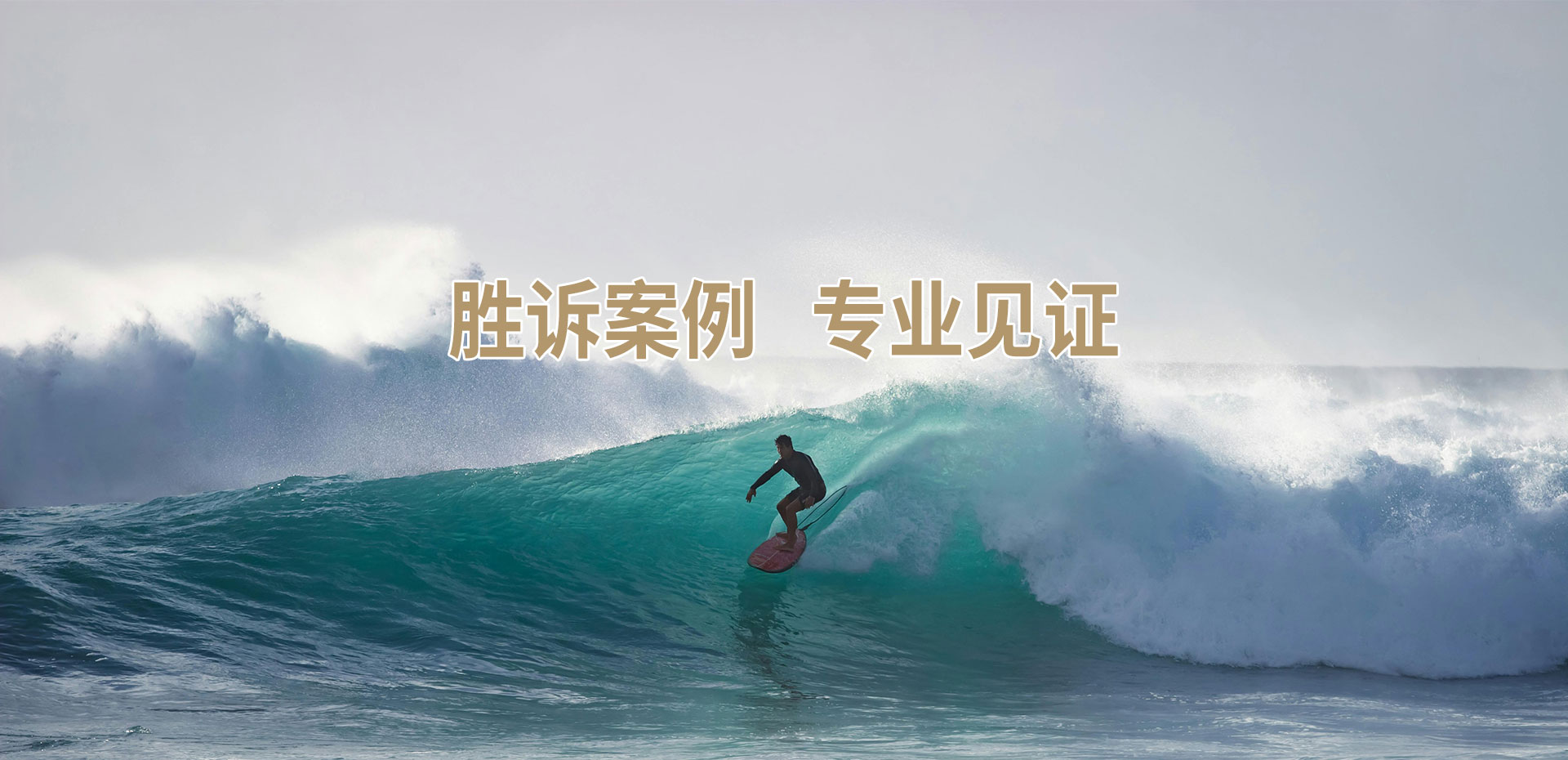 胜诉案例 实力见证